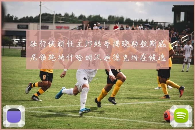 独行侠新任主帅赔率揭晓助教斯威尼领跑纳什哈姆汉迪德克均在候选之中